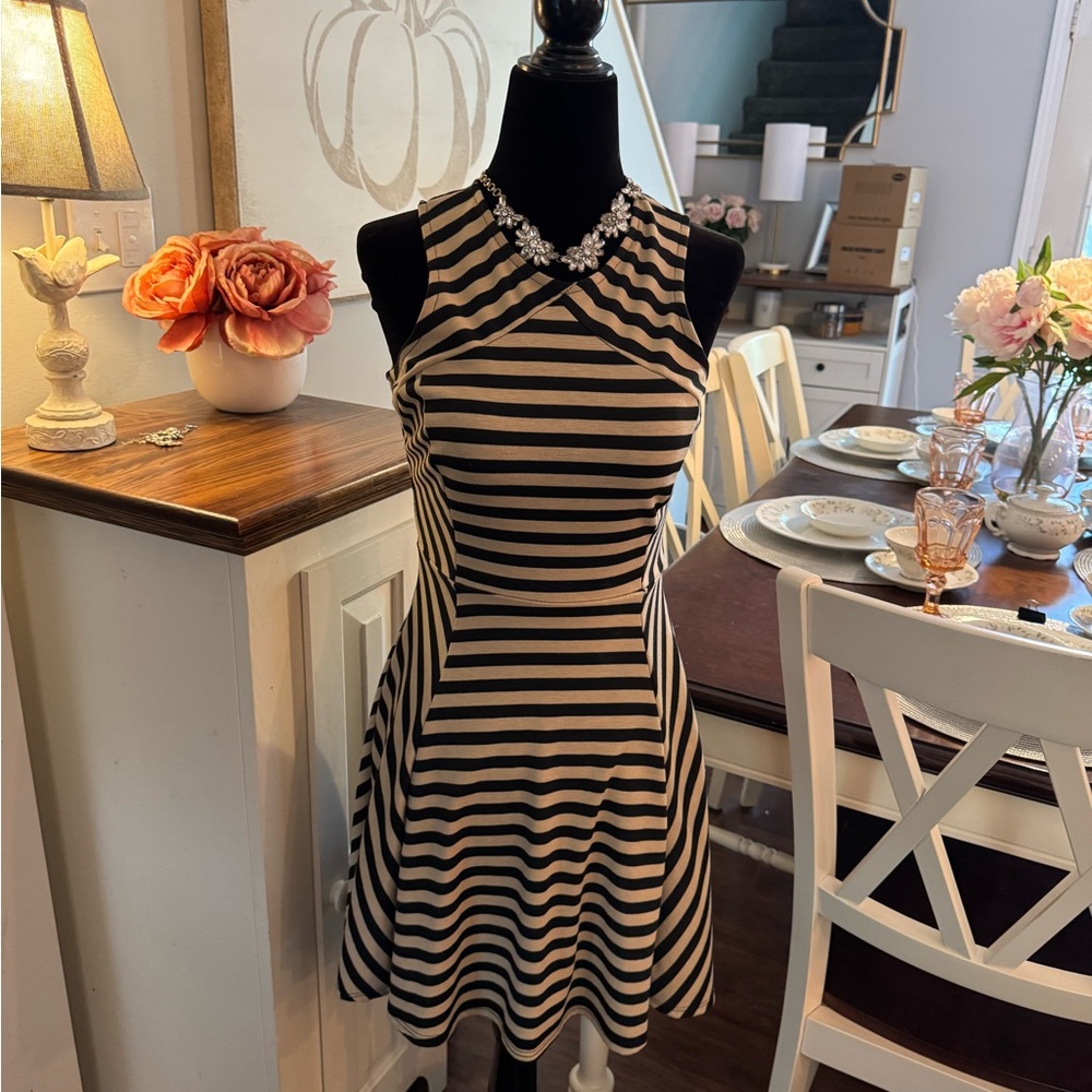 Brown and black skater dress
